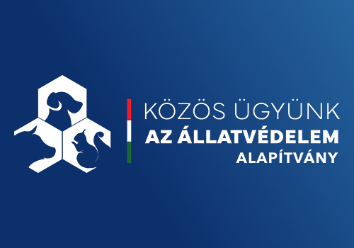321 mentett egyed él jelenleg a Nyíregyházi Állatparkban