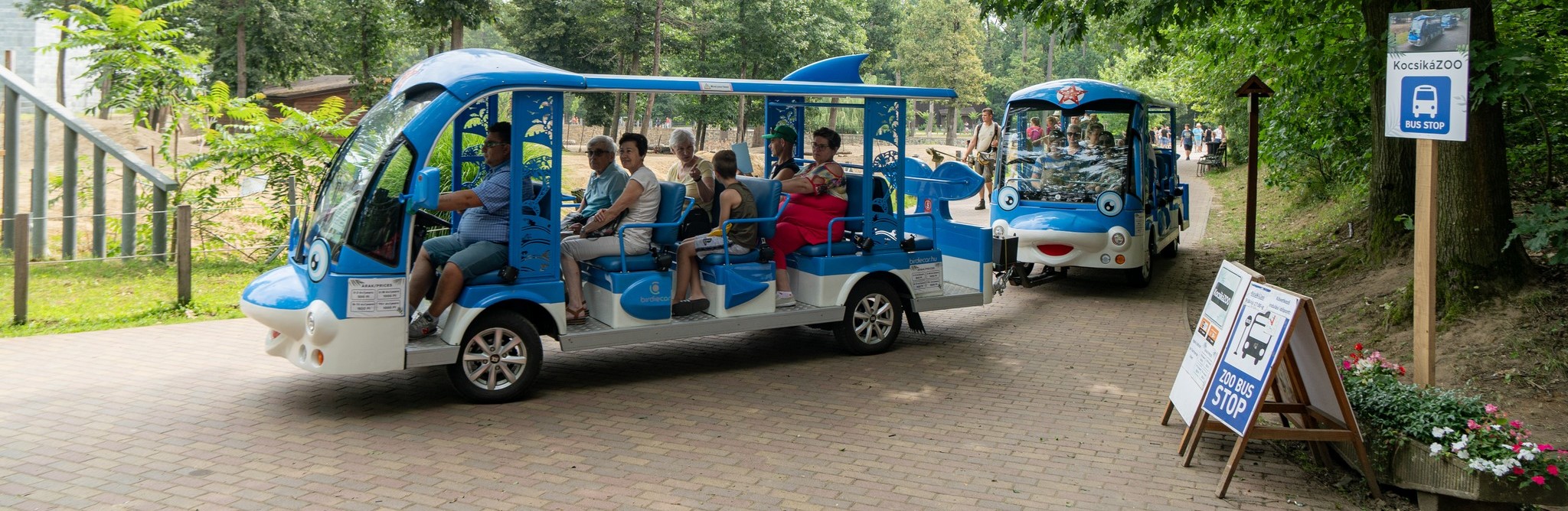 KocsikáZoo