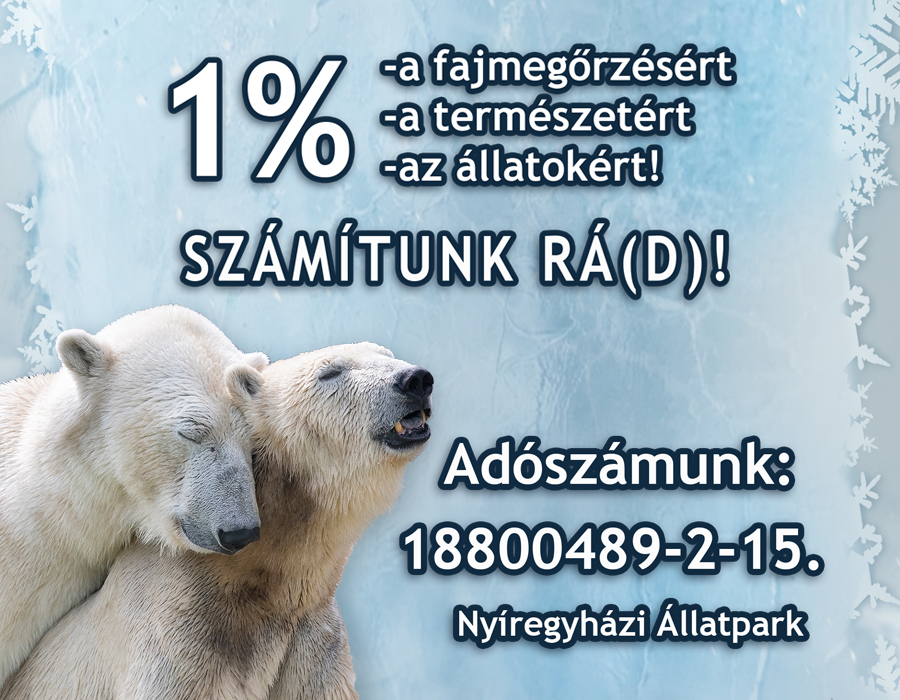 Adó 1%