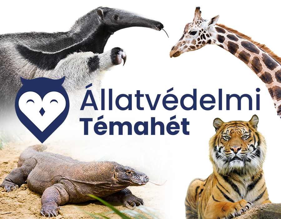 Állatvédelmi témahét a Nyíregyházi Állatparkban