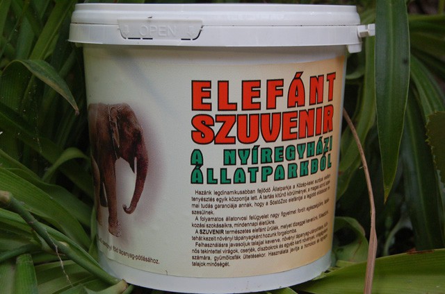 Elefánt szuvenír a Nyíregyházi Állatparkból!