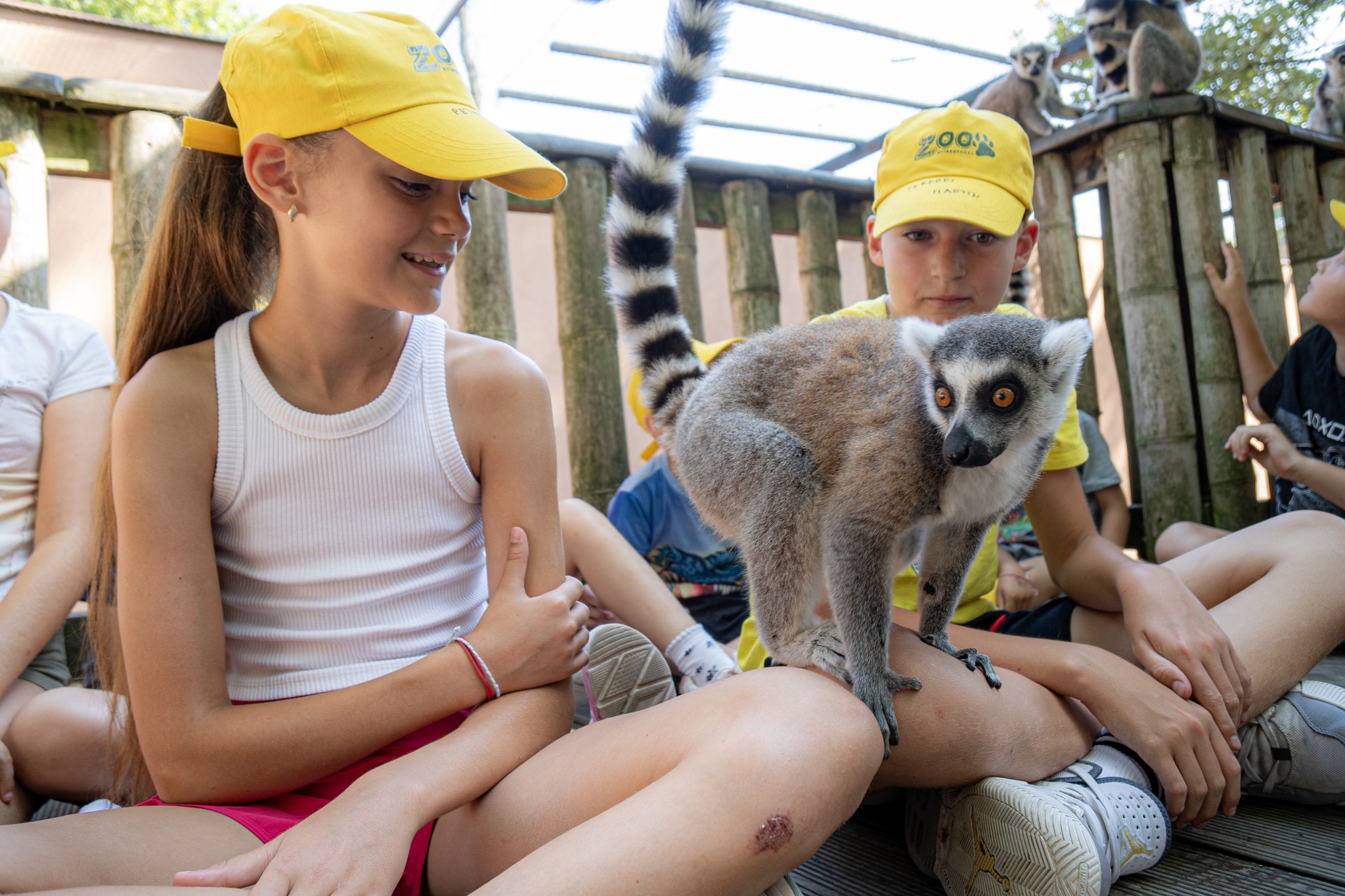Elindult Állatparkunk nyári tábora, a ZOOSULI