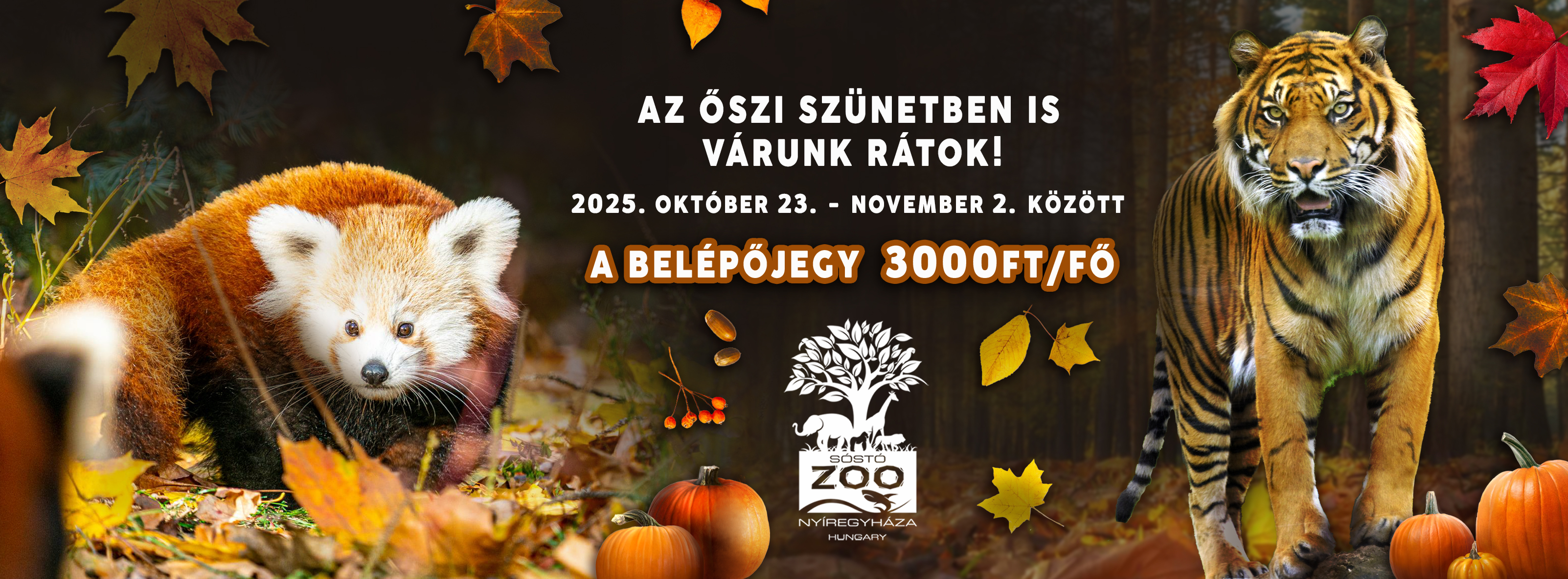 Kedvezmény az őszi szünetben