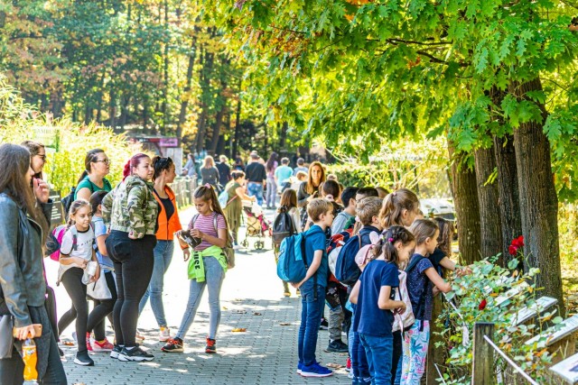 Óriási érdeklődéssel zajlott az Állatok Világnapja