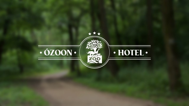 Születésnapi akció az Ózoon Hotelban