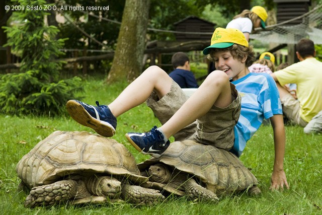 Zoo-suli 2009