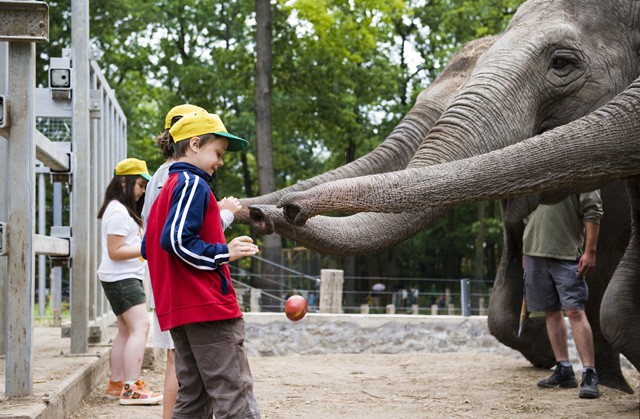 Zoo-suli 2012