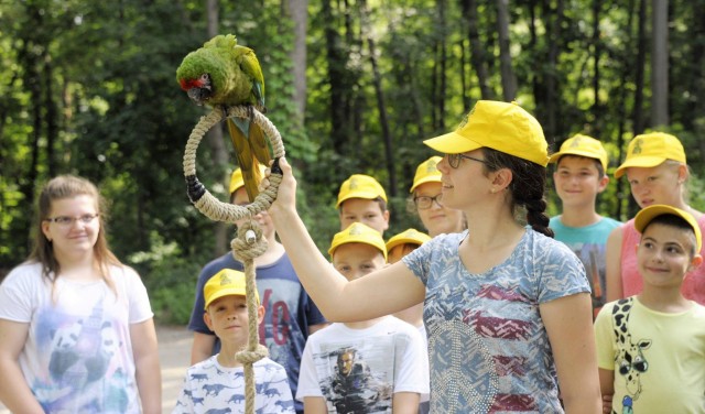 Zoosuli a SóstóZoo-ban